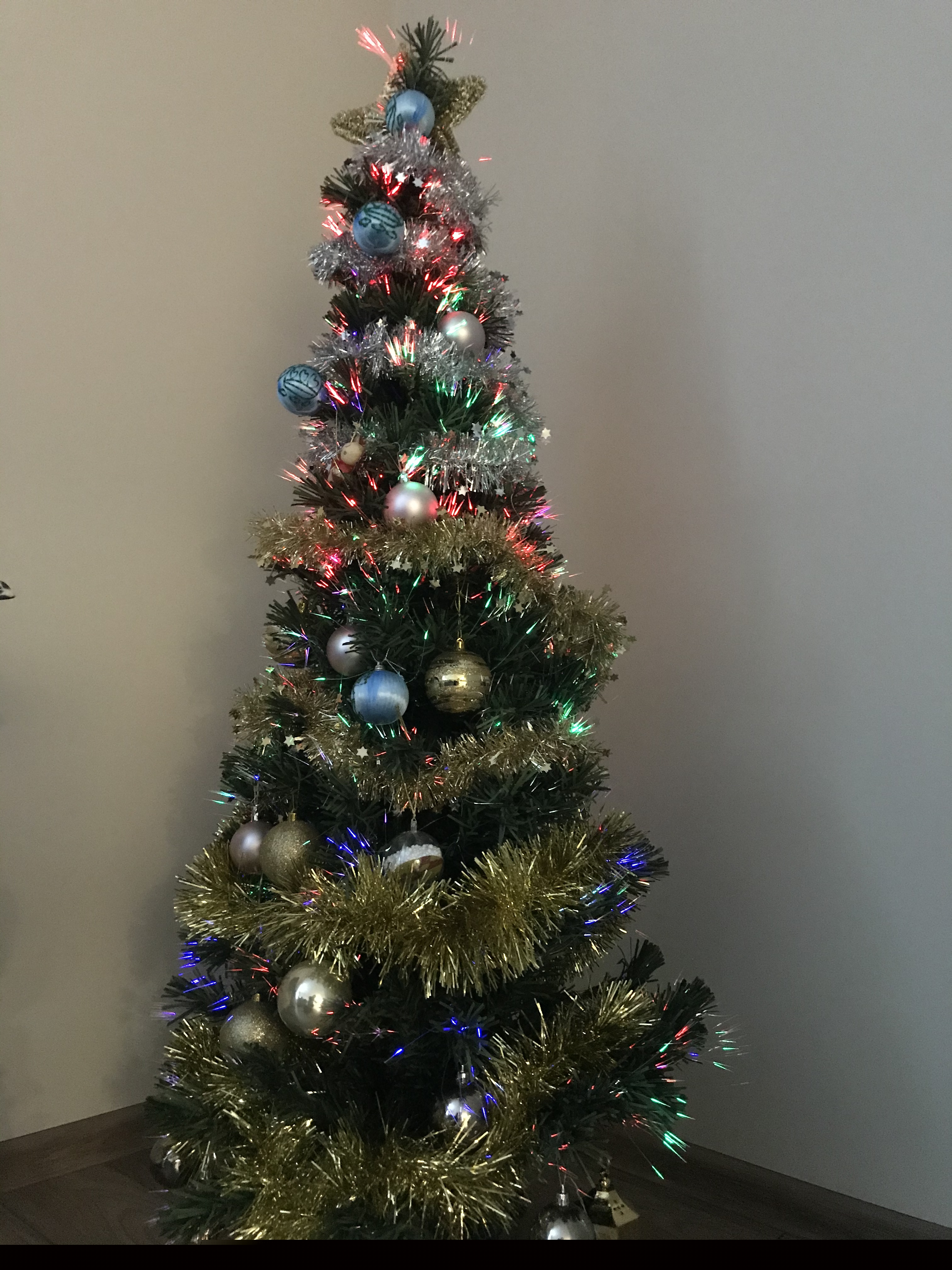 Фото участника: Болтакс Ирина