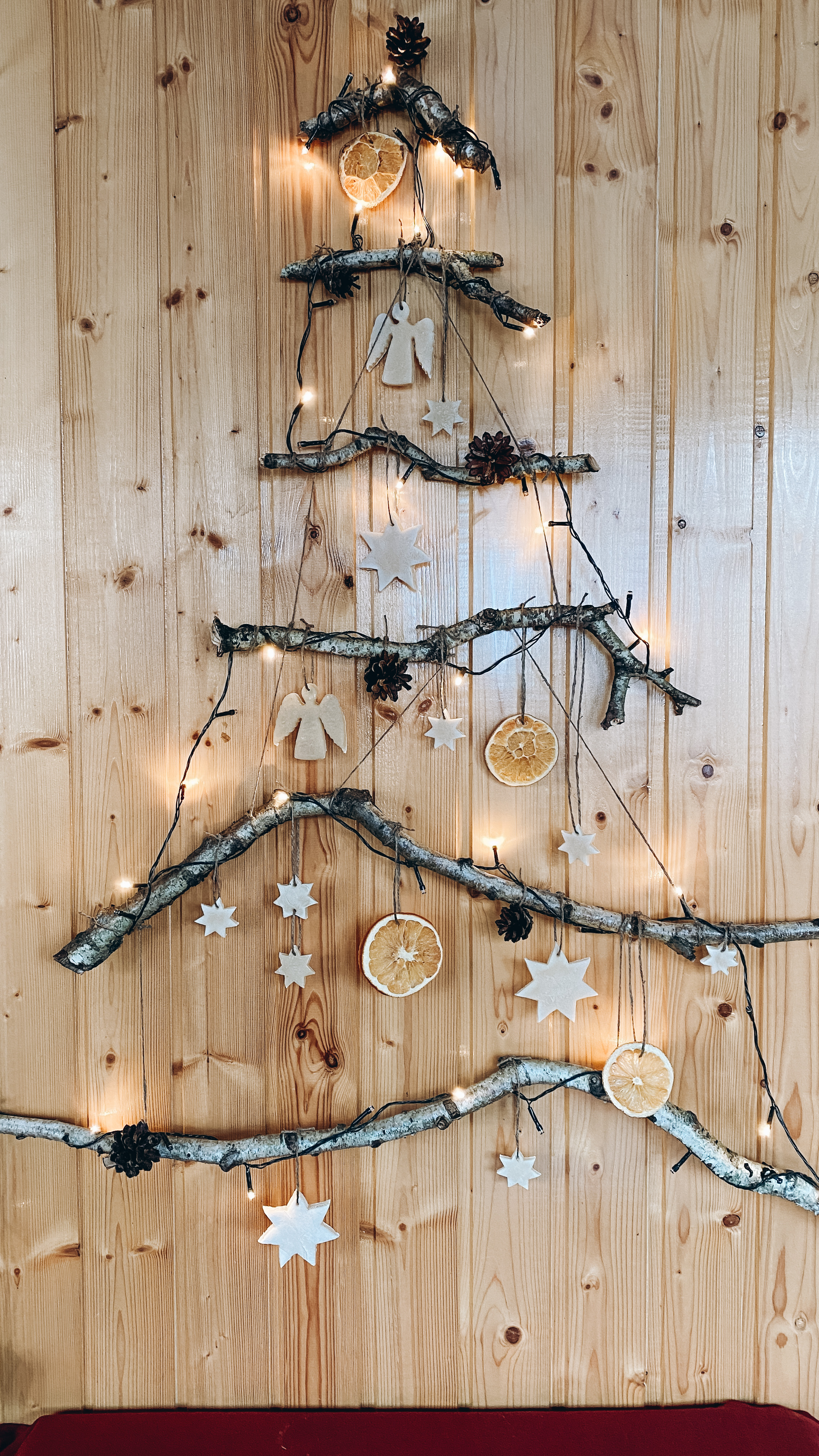 Фото участника: Анастасия Мартынова