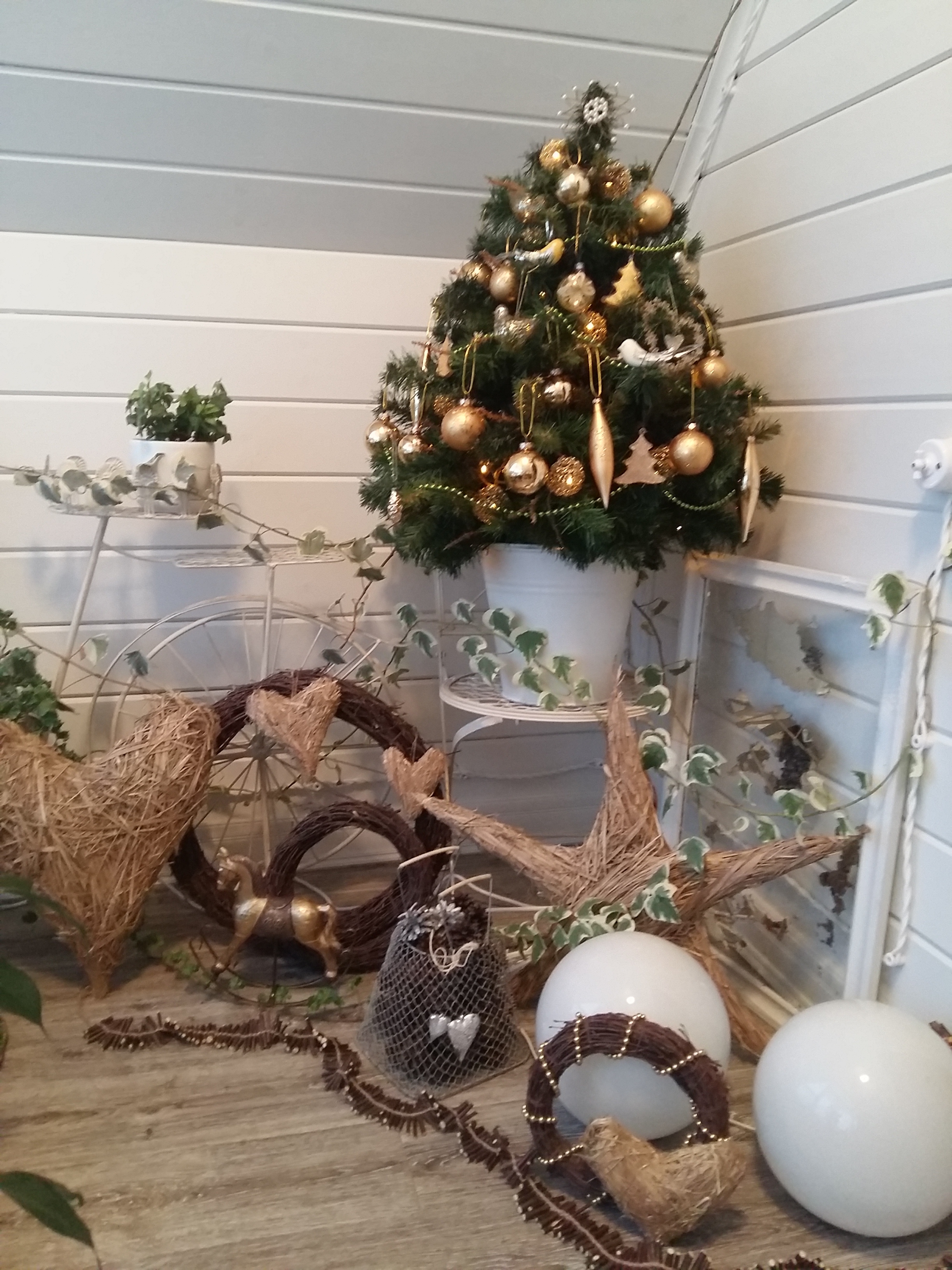 Фото участника: Ольга Воробьева