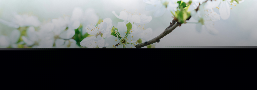 Звуки весны