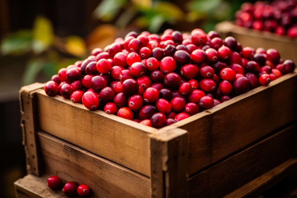 Готовим из клюквы