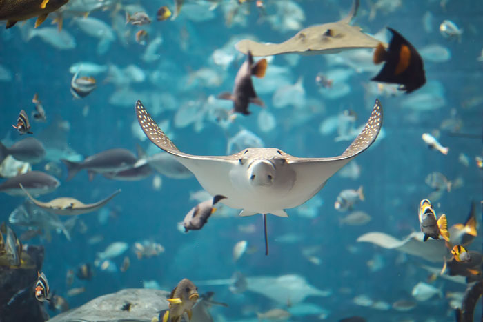 2. Без подписи